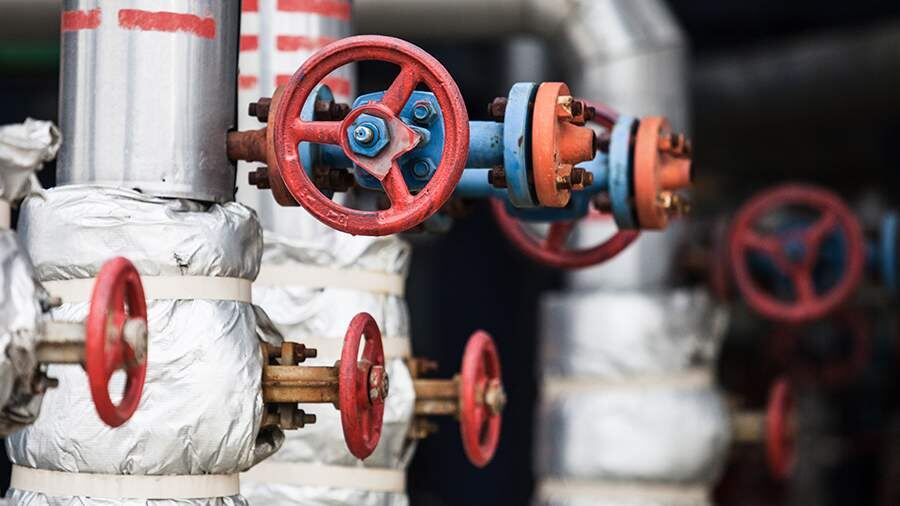    Фото: ТАСС/Михаил Жбанков