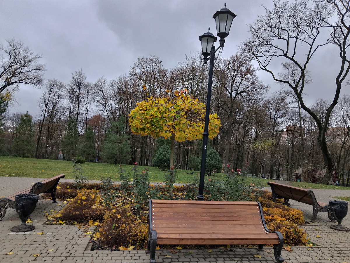 Поздняя осень, но ещё есть яркие краски