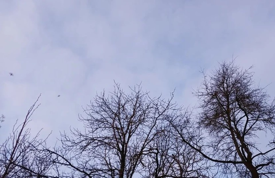    В Калужской области вечером 15 февраля сбили ещё три беспилотника.