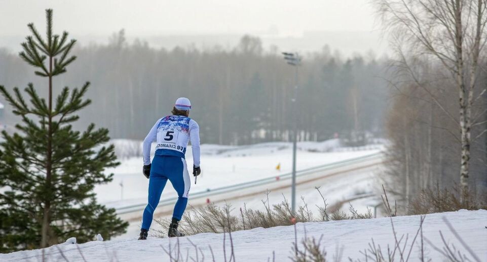    «Подмосковье сегодня»/Сгенерировано нейросетью