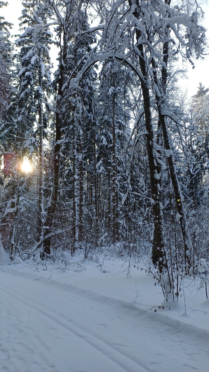 Фото Татьяны Федотовой.
