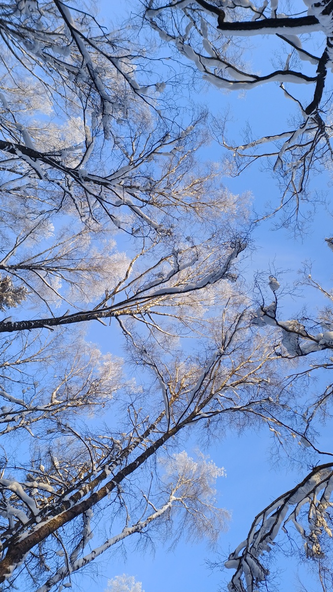 Фото Татьяны Федотовой.