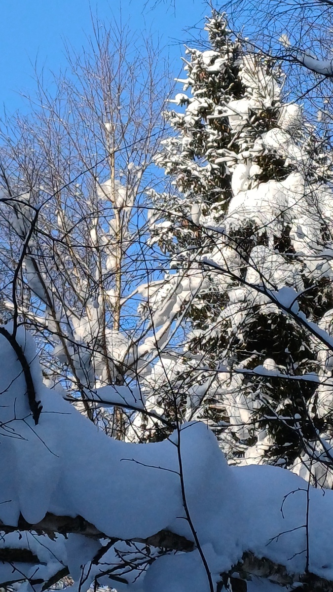 Фото Татьяны Федотовой.