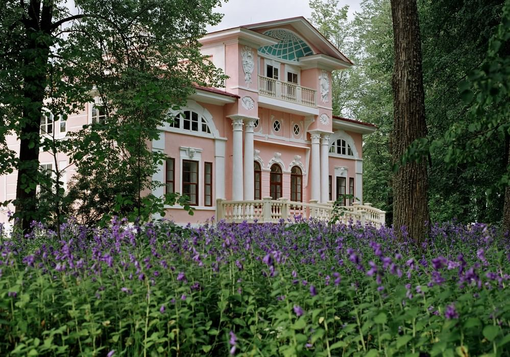 Фото из открытых источников интернет