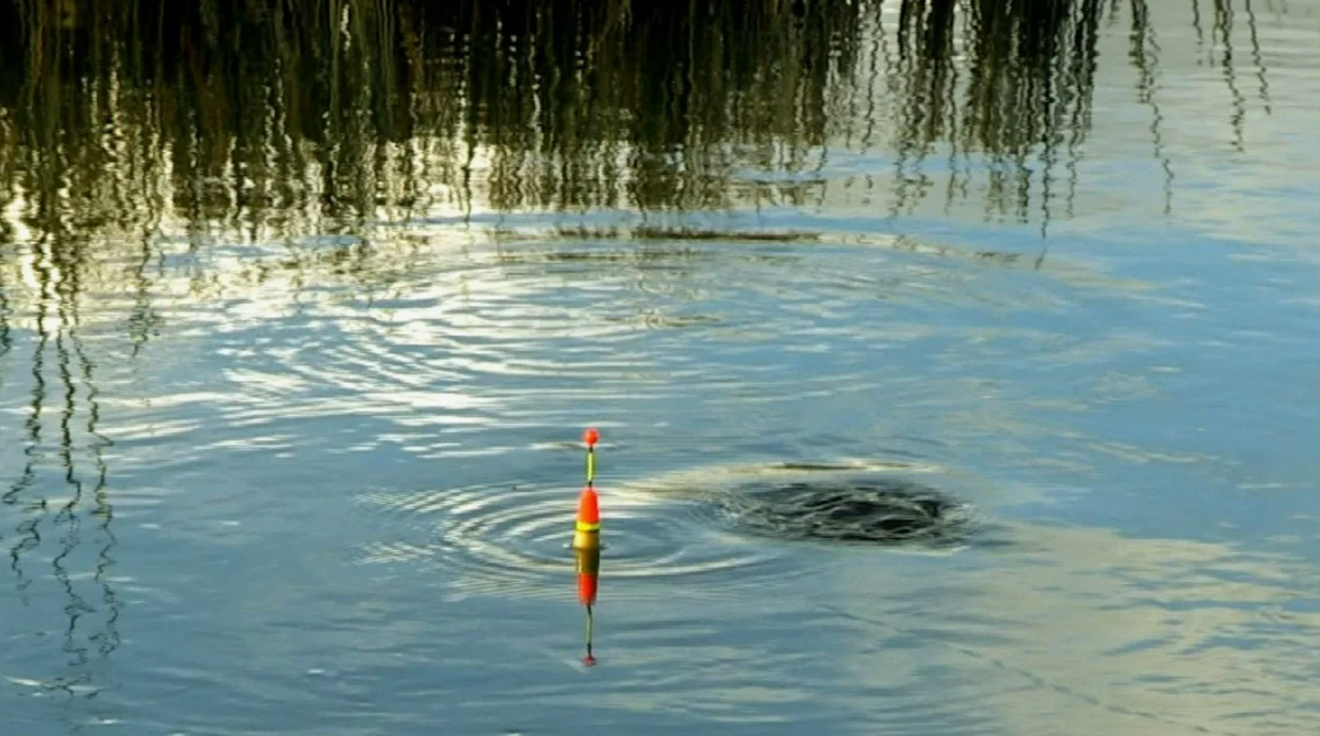 Всплеск приманки