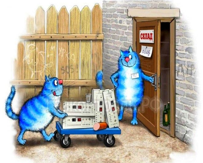 очаровательные коты Рины Зенюк