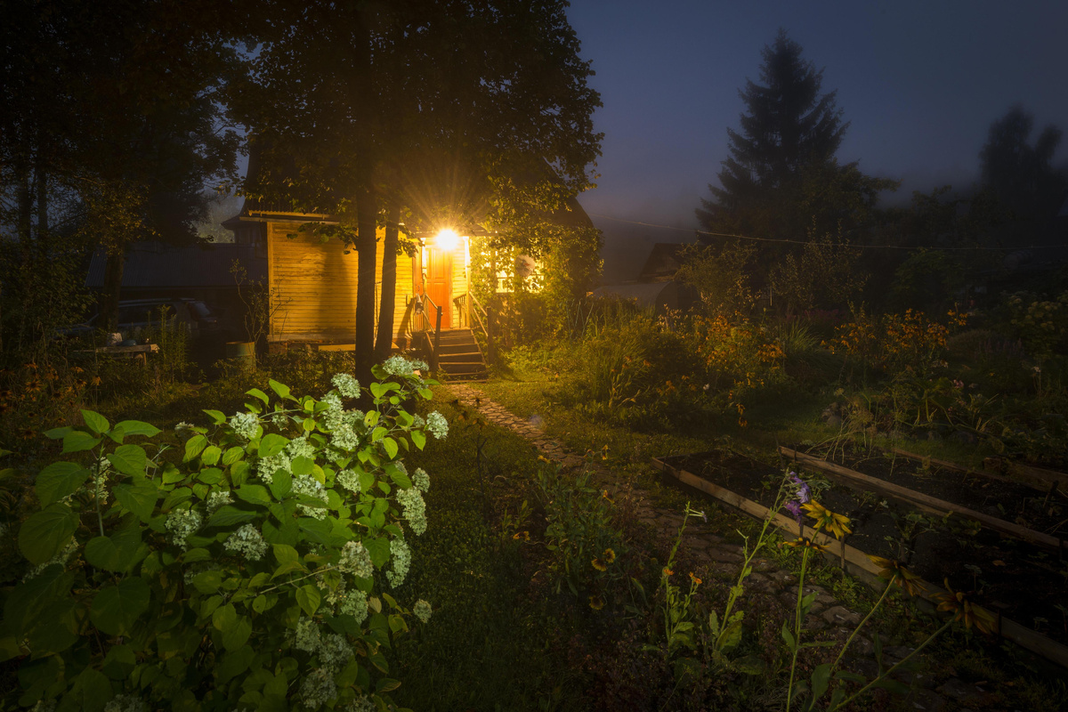 фото яндекс.