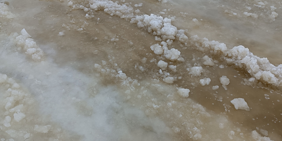 Половодье в сарае, спасала кур