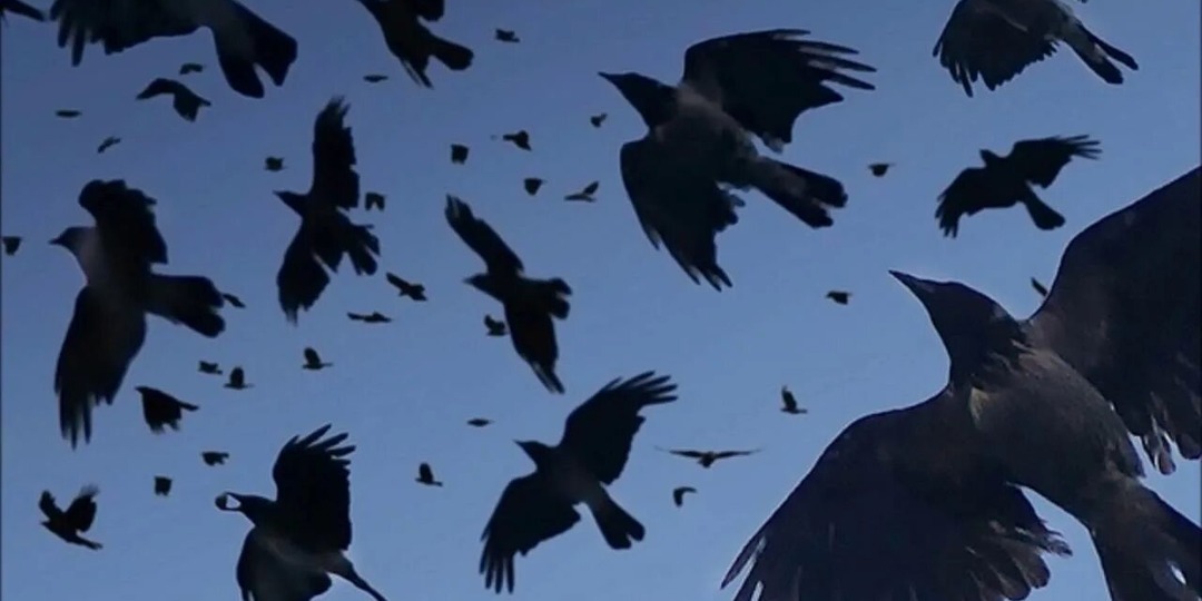 Рыжая ведьма.