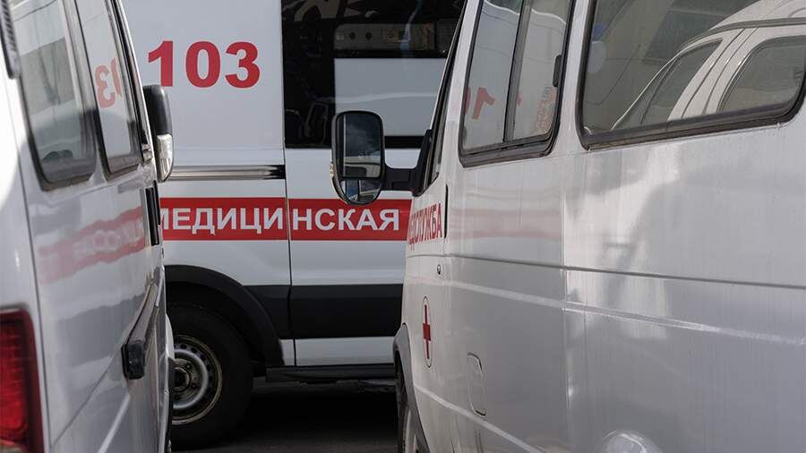    Фото: ИЗВЕСТИЯ/Сергей Виноградов