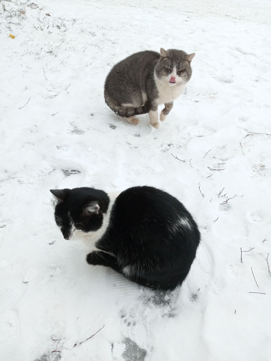 Поели, надо отдохнуть.