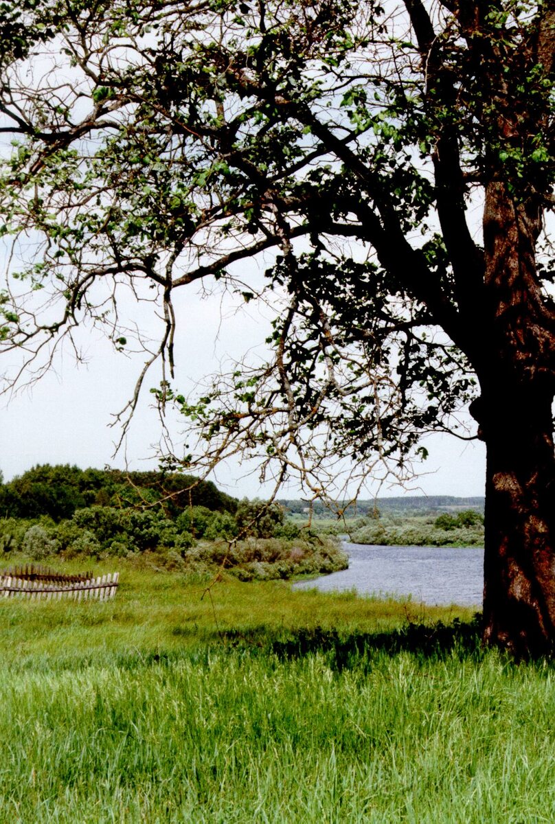 Река Сож на востоке Беларуси. Author: Herbert Dederichs, Burkhard Heuel-Fabianek. Attribution-Share Alike 3.0 Unported