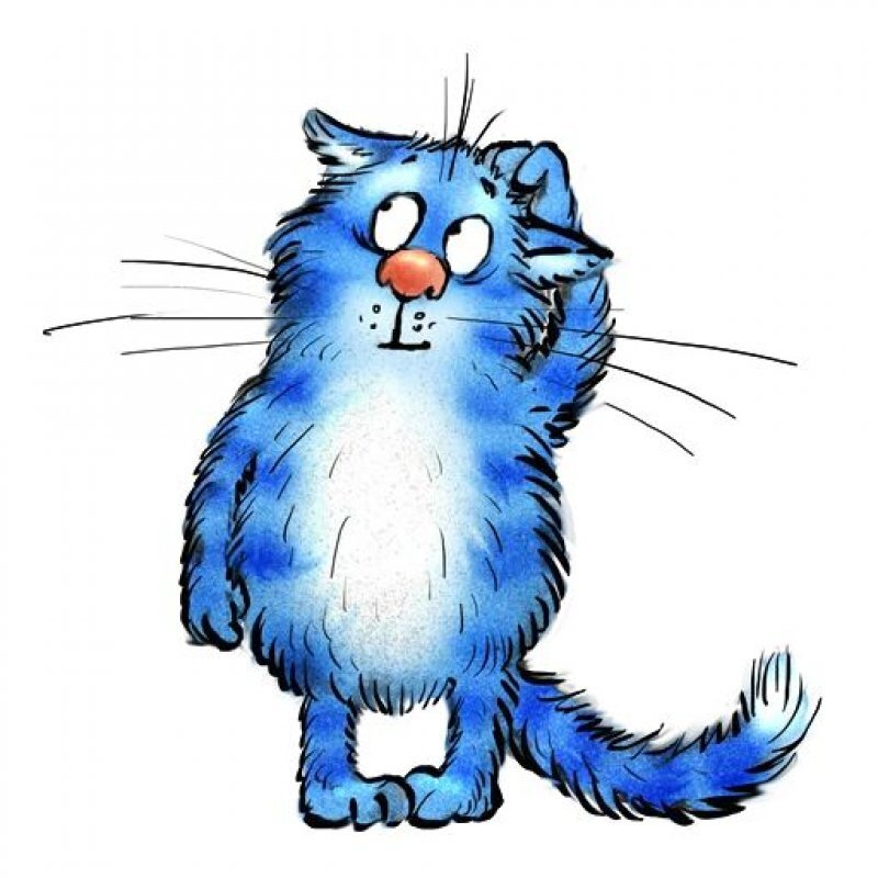 очаровательный котик Рины Зенюк