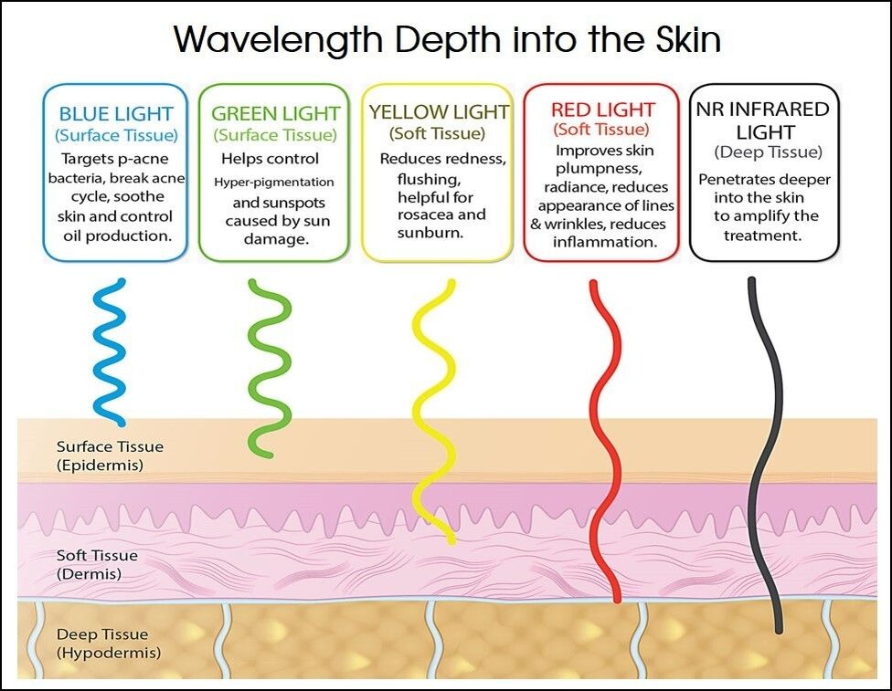 На картинке изображен свет с разной длинной волны. Глубина воздействия у всех разная.  Для лошадей используется красный и инфракрасный свет. 