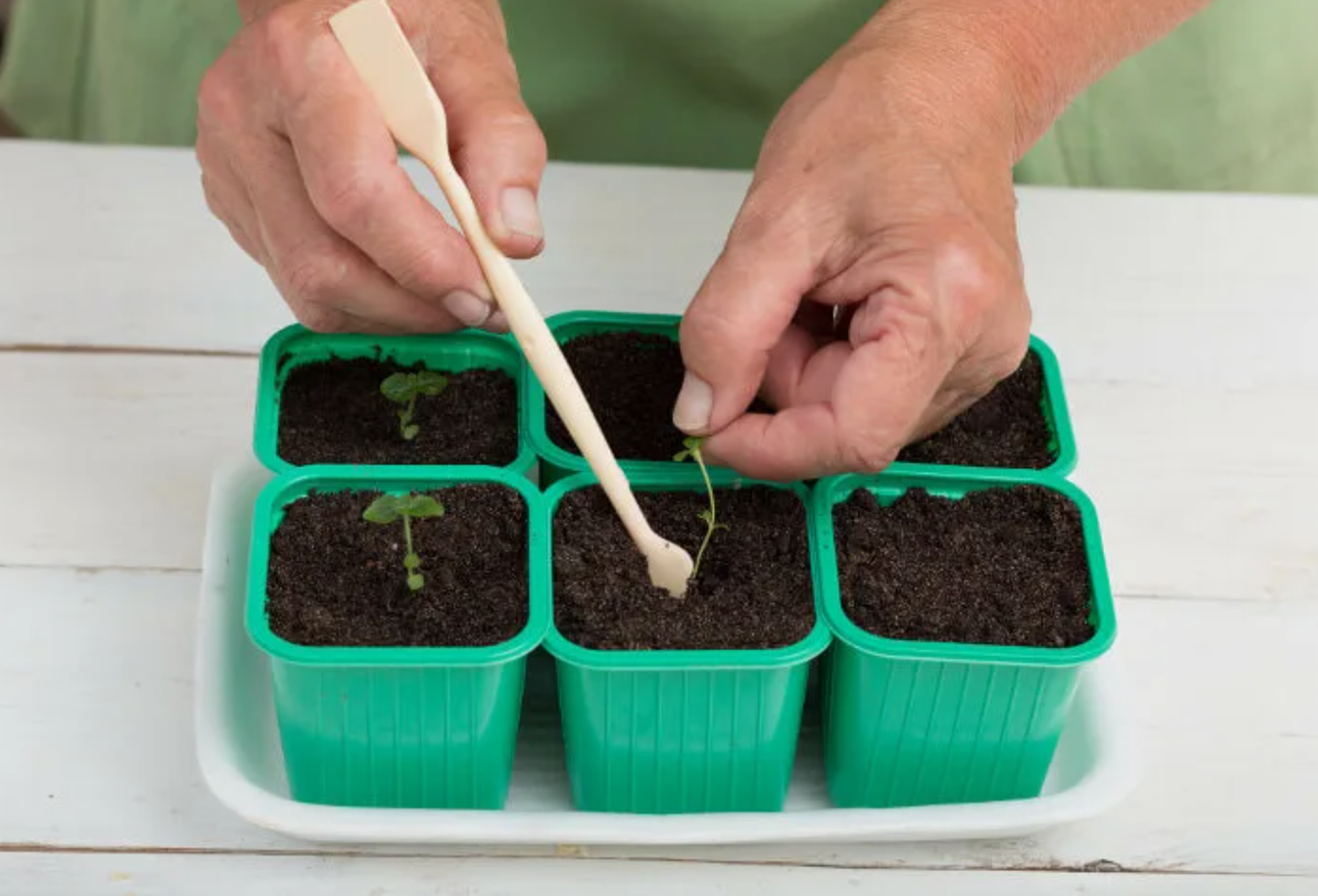 Источник фото: smartpress.by