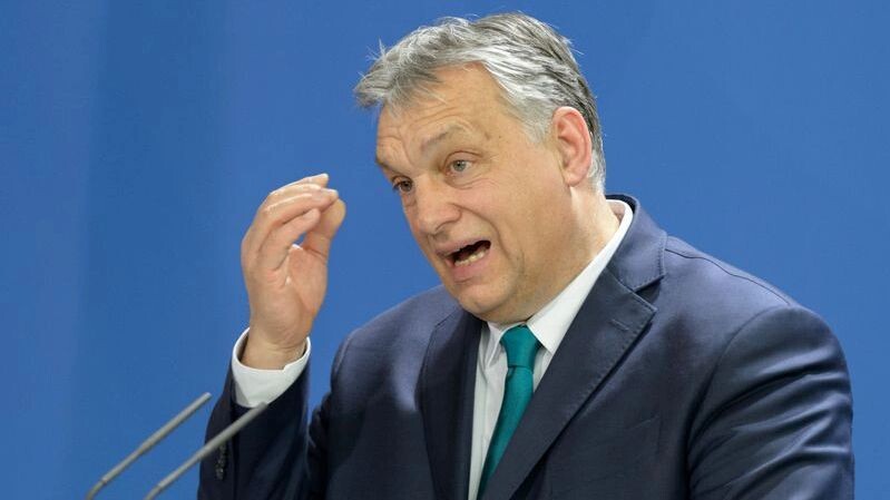    Фото: photocosmos1/Shutterstock/Fotodom