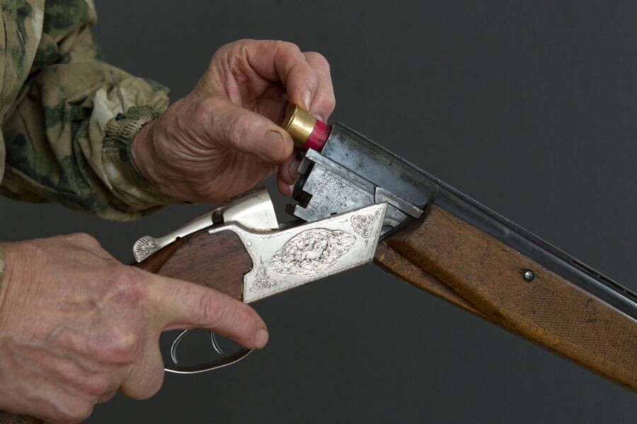     / Источник: © Николай Гынгазов/ТАСС