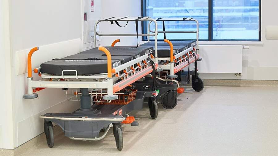    Фото: ИЗВЕСТИЯ/Полина Фиолет