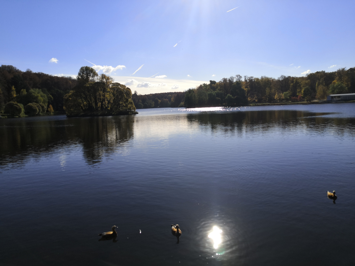 На моих снимках в кадр попало только светящийся шар - отражение солнца