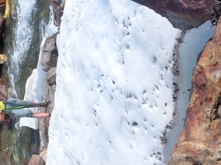   Олег Тимофеев