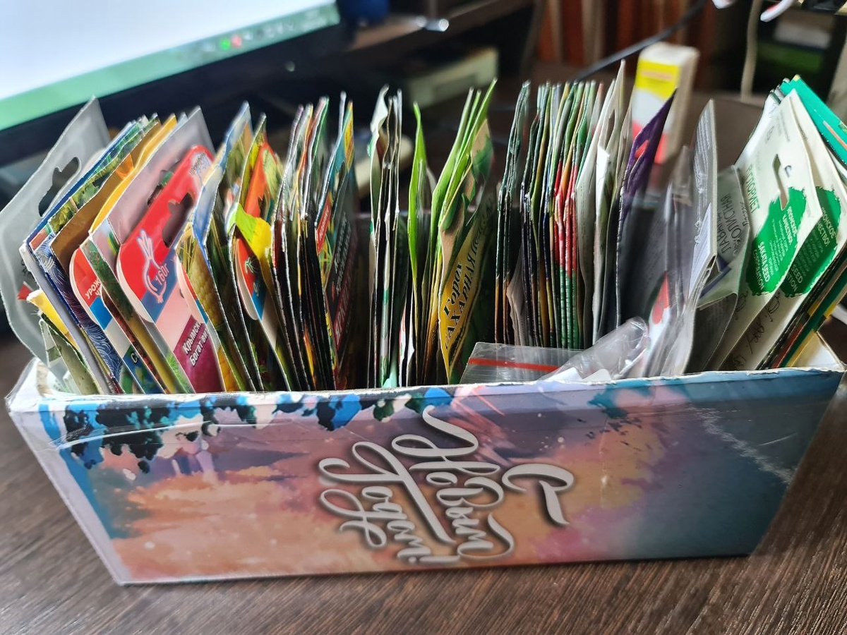 Семена 2026  года