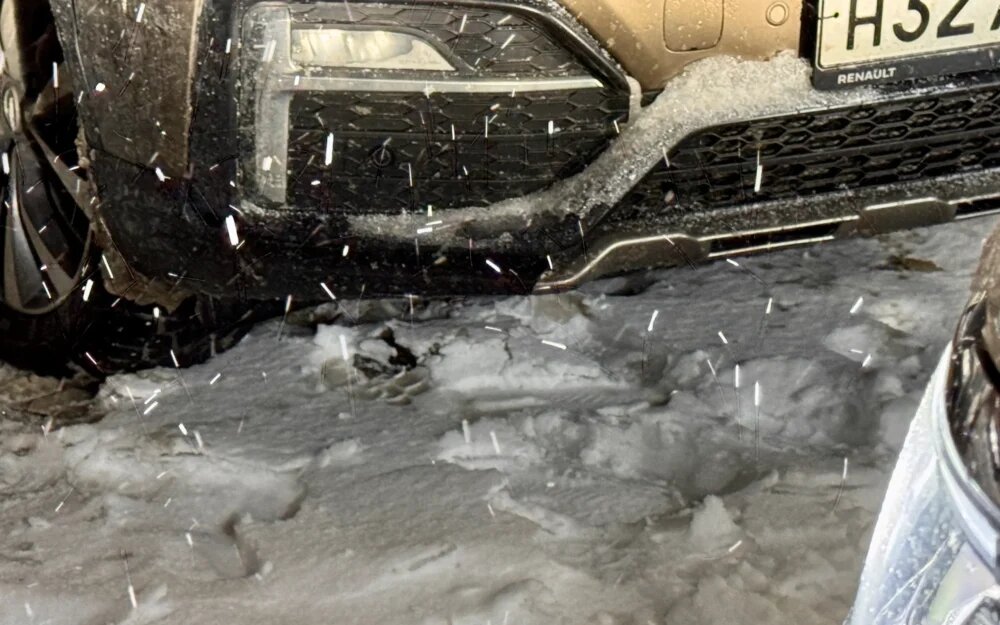    Фото: "Брянские новости"