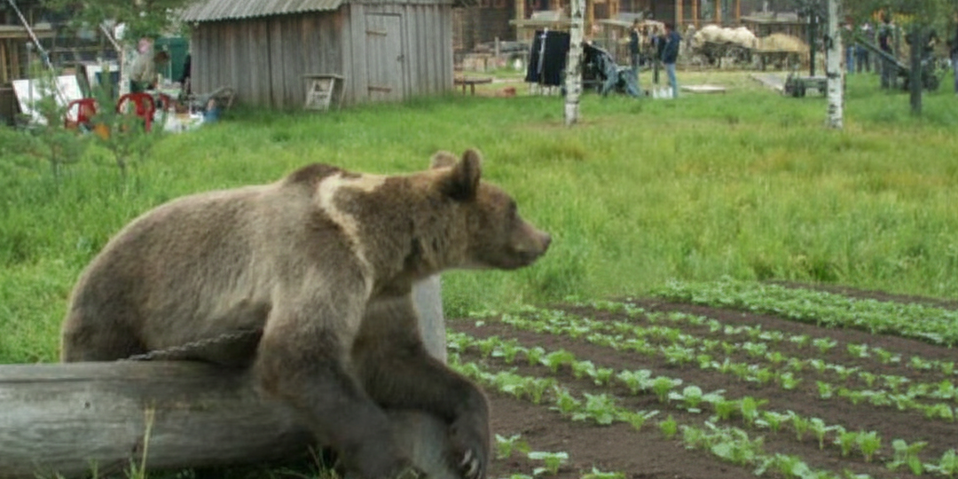 Она пришла за сыном ночью. А через неделю закопала женщину заживо