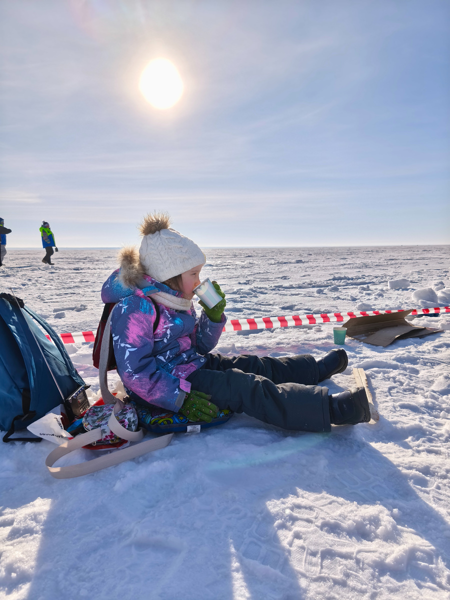 Пришли на наш участок и первым делом - чай 🙌🫖