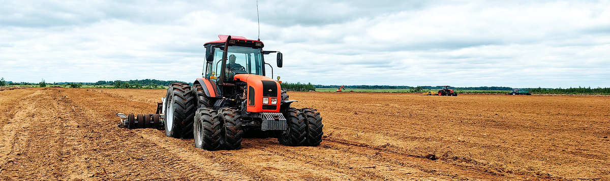 Добыча верхового торфа в Новосибирской области компанией БиоМастер