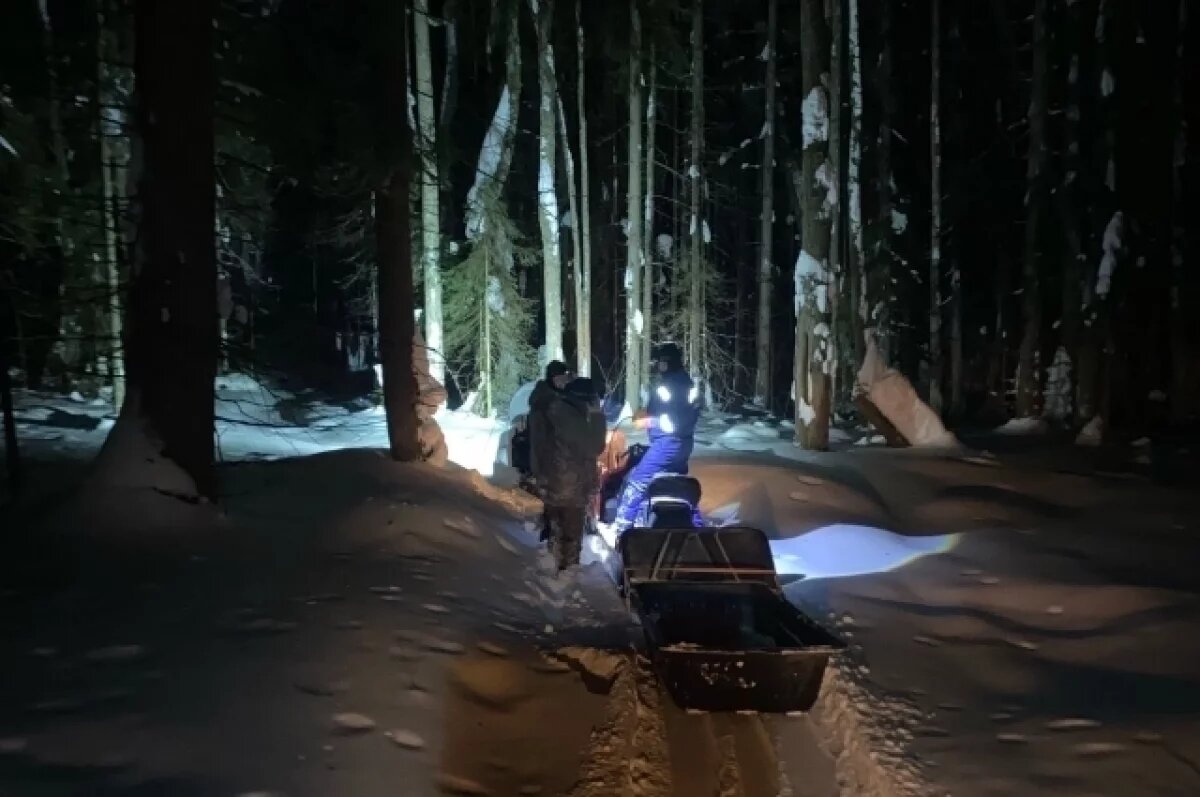    В Прикамье спасатели вывели из леса трёх заблудившихся туристов