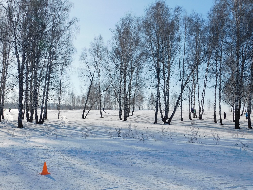    Февраль. Фото Анны Зубаревой