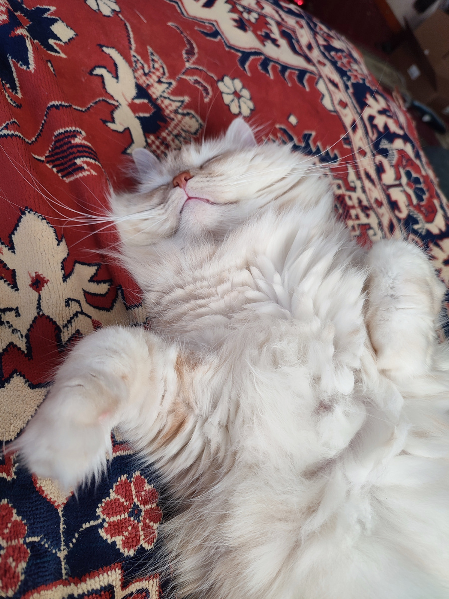 Расслабляемся