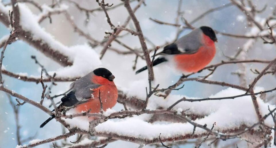    istockphoto.com/Sergey_Krasnoshchokov