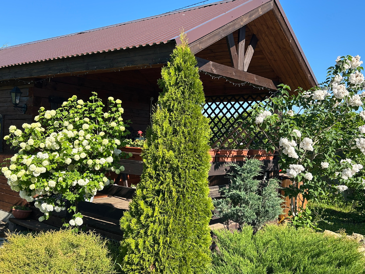 Миксбордер у терраски бани. Фото Мой второй сад