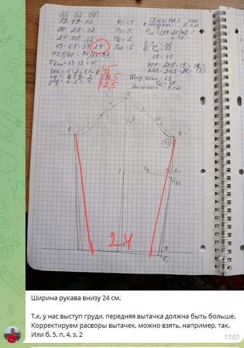 Скриншот из рабочего чата с проверками