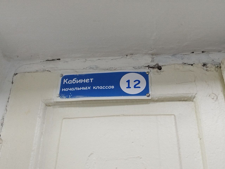     Фото: Александр Захаров / МК на Алтае