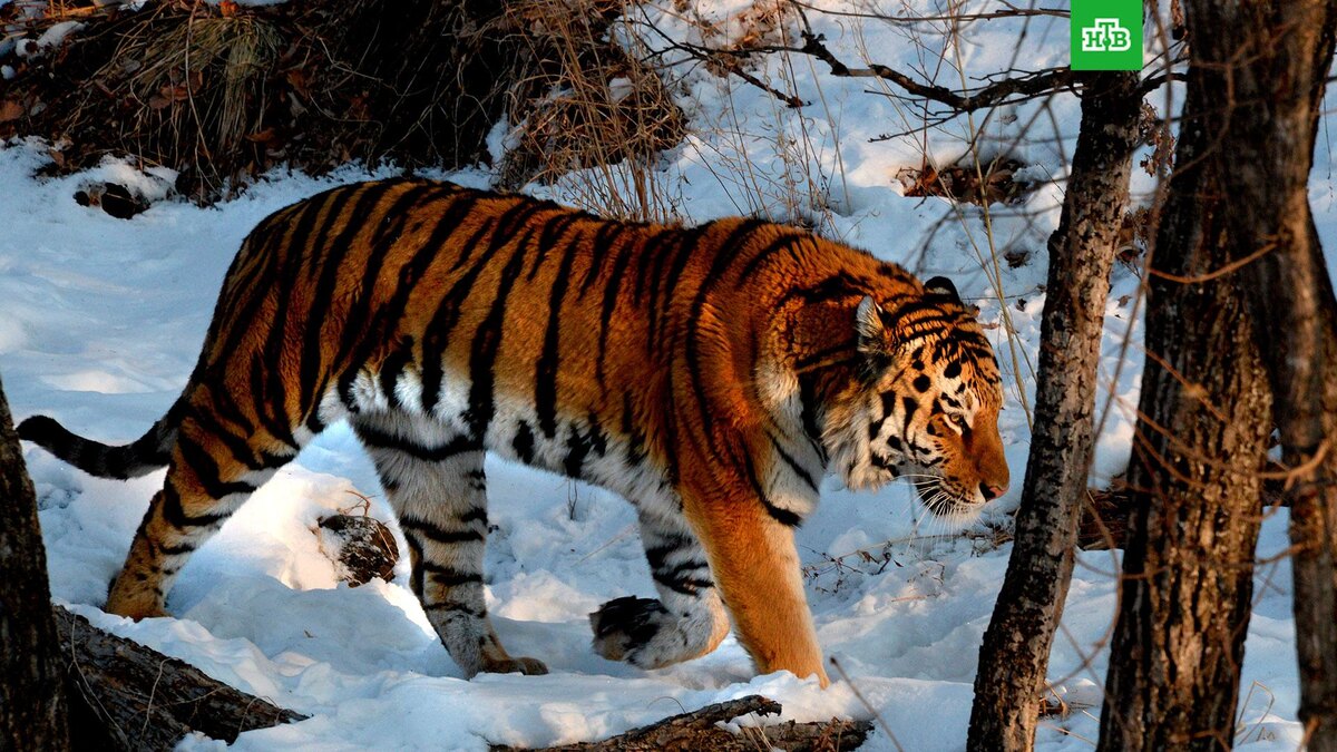    Фото: РИА Новости © 2026, Виталий Аньков