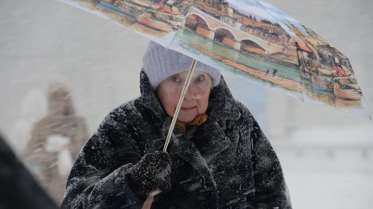    Фото: vm.ru Евгений Иванов