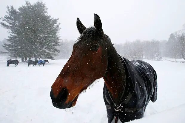    Фото: lenta.ru Александр Новиков