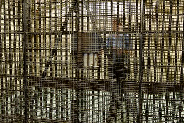    Фото: lenta.ru Ярослава Мухина