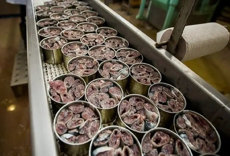    Фото: primamedia.ru Светлана