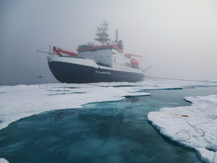     Фото: Evgenii Salganik, CC BY 4.0/commons.wikimedia.org/w/index.php?curid=174505208