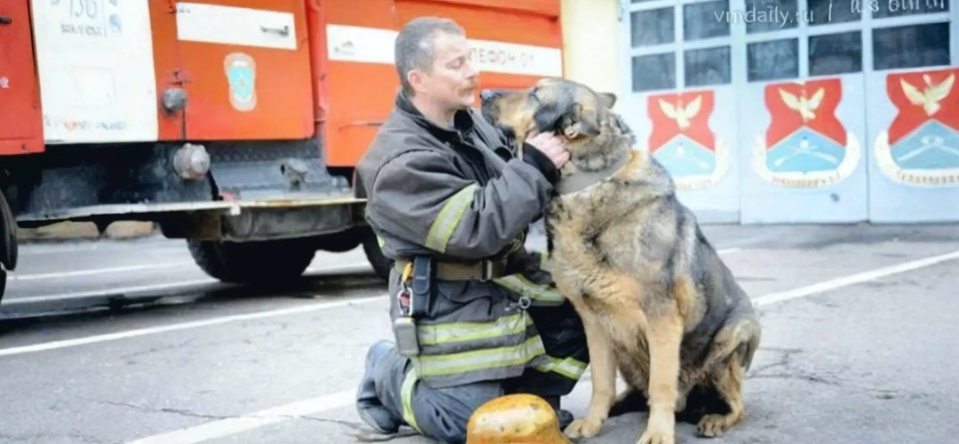 Пожарный Николай Палыч спас щенка. А он отблагодарил его когда это было необходимо больше всего