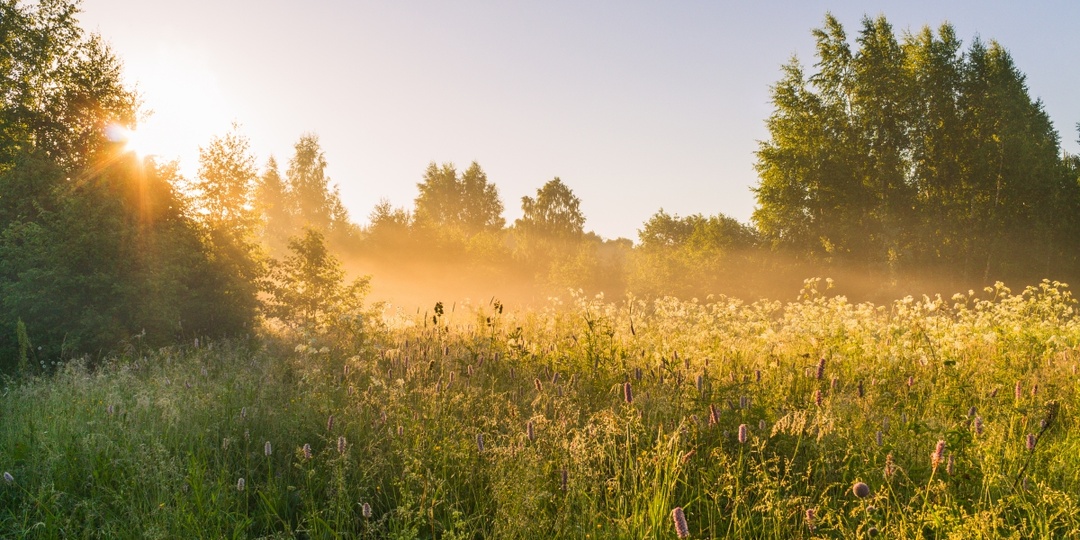 Иные чувства