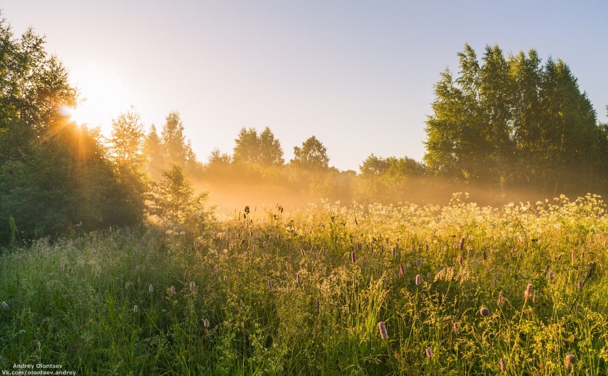 Яндекс.Картинки