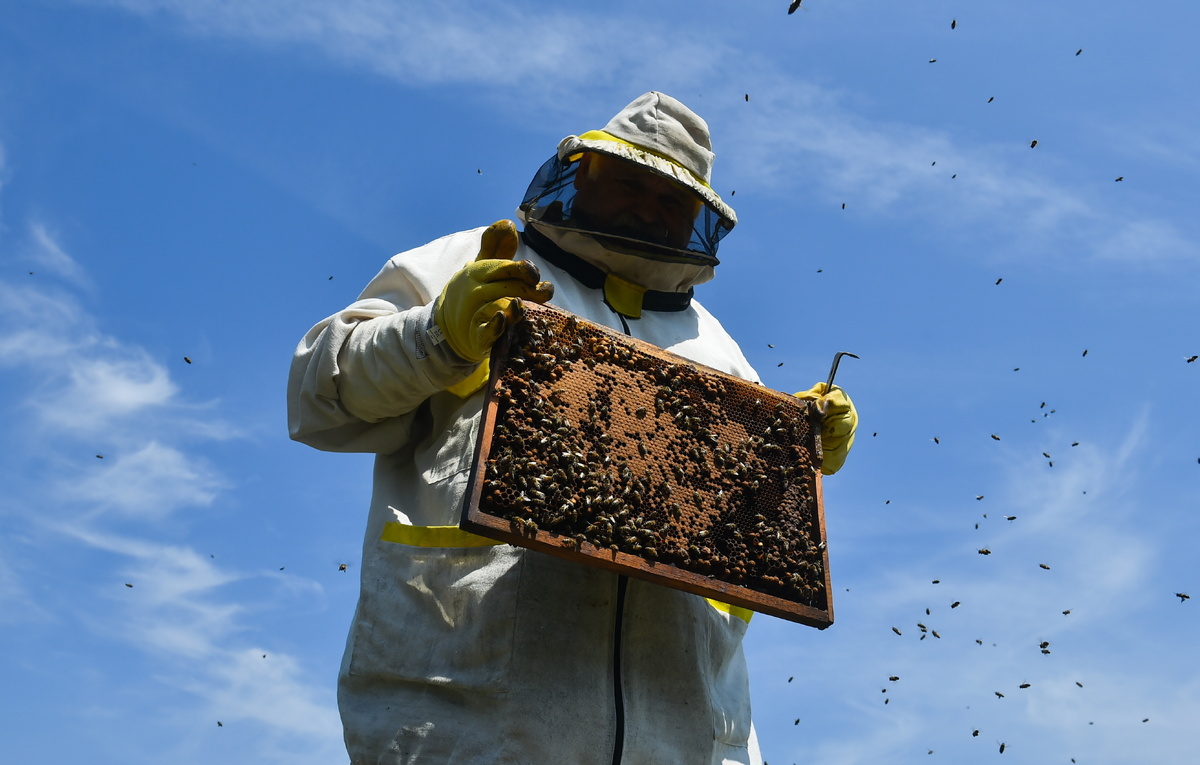Николай Бурматов/ТАСС