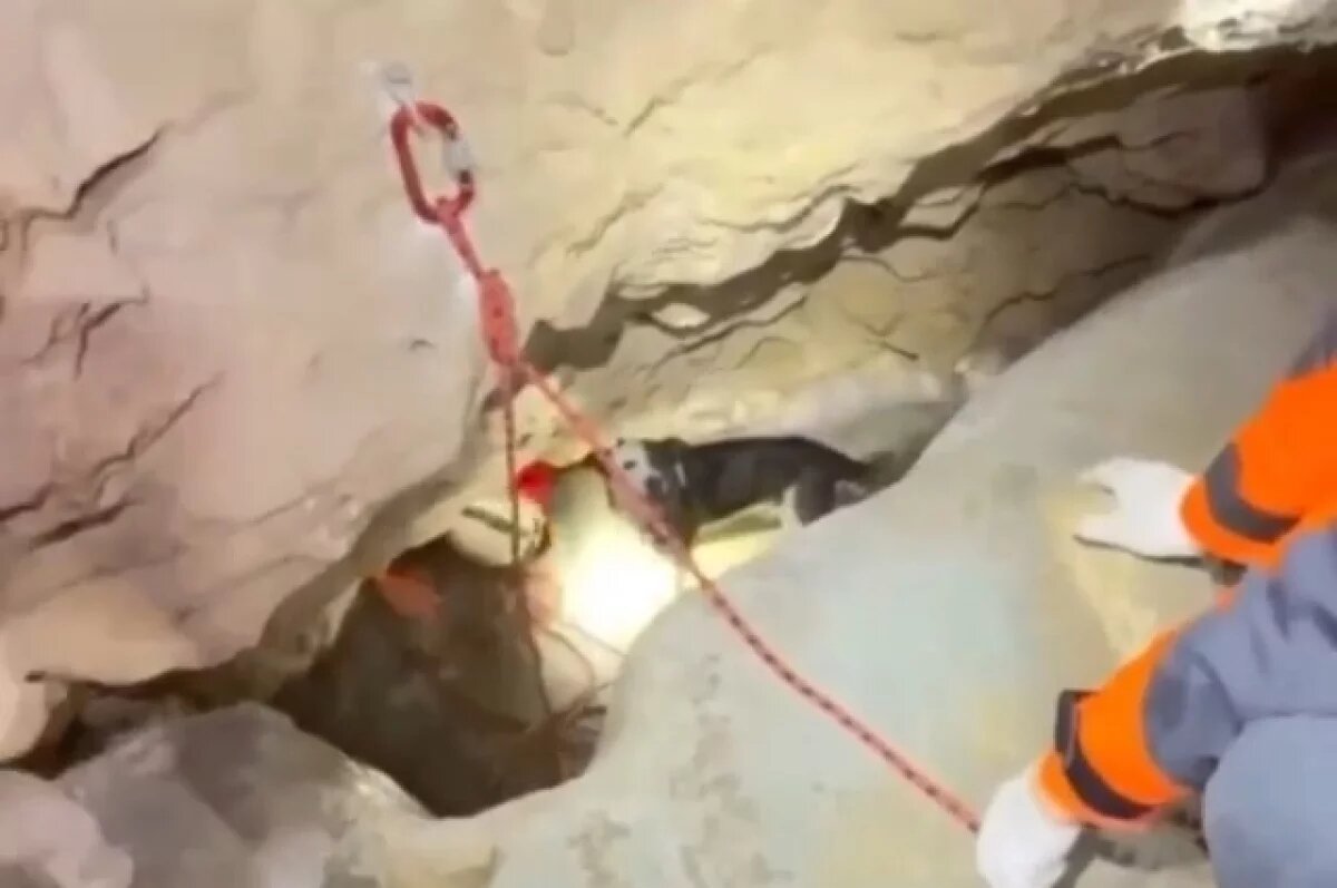    Из Киндерлинской пещеры в Башкирии достали провалившуюся собаку