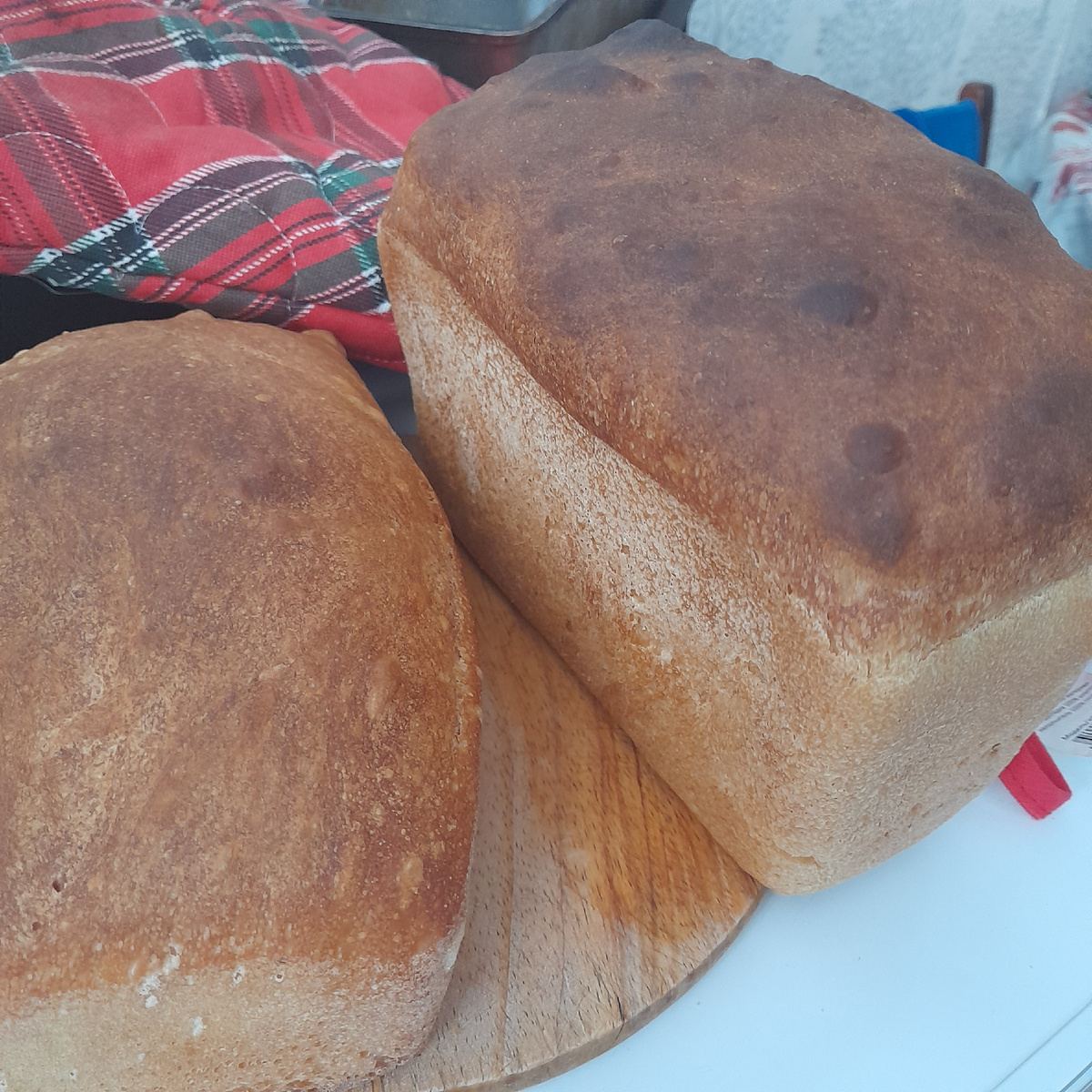 Фото из личного архива автора.             