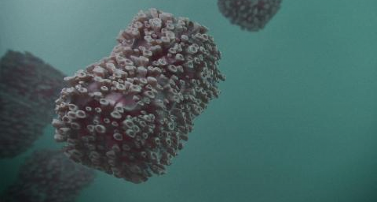    Наседкин Денис с сайта newsroom24.ru