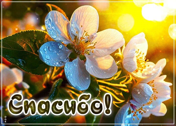 Фото взято из открытого доступа.